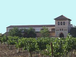 ВИНОДЕЛЬНЯ С ВИНОГРАДНИКАМИ thumbnail 5