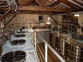 ВИНОДЕЛЬНЯ С ВИНОГРАДНИКАМИ thumbnail 7