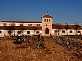 ВИНОДЕЛЬНЯ С ВИНОГРАДНИКАМИ thumbnail 15