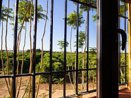 ВИЛЛА С АПЕЛЬСИНАМИ ПОД ВАЛЕНСИЕЙ thumbnail 23