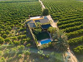 ВИЛЛА С АПЕЛЬСИНАМИ ПОД ВАЛЕНСИЕЙ thumbnail 53