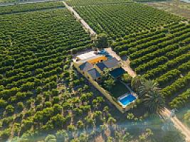 ВИЛЛА С АПЕЛЬСИНАМИ ПОД ВАЛЕНСИЕЙ thumbnail 54