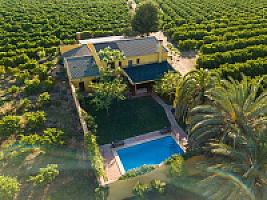 ВИЛЛА С АПЕЛЬСИНАМИ ПОД ВАЛЕНСИЕЙ thumbnail 59