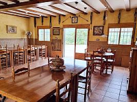 ПЛАНТАЦИЯ МАНДАРИНОВ ПОД ВАЛЕНСИЕЙ thumbnail 7