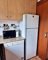 ПЛАНТАЦИЯ МАНДАРИНОВ ПОД ВАЛЕНСИЕЙ thumbnail 14