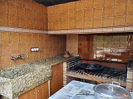 ПЛАНТАЦИЯ МАНДАРИНОВ ПОД ВАЛЕНСИЕЙ thumbnail 18