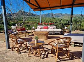 ПЛАНТАЦИЯ МАНДАРИНОВ ПОД ВАЛЕНСИЕЙ thumbnail 19