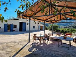 ПЛАНТАЦИЯ МАНДАРИНОВ ПОД ВАЛЕНСИЕЙ thumbnail 23