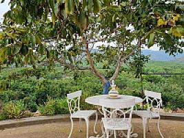 ПЛАНТАЦИЯ МАНДАРИНОВ ПОД ВАЛЕНСИЕЙ thumbnail 24