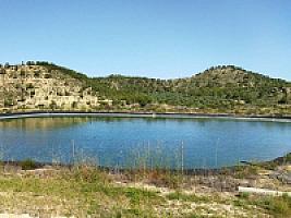 ПЛАНТАЦИЯ ЧЕРЕШНИ thumbnail 4