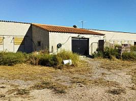 ПЛАНТАЦИЯ ЧЕРЕШНИ thumbnail 6