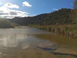 ПЛАНТАЦИЯ ЧЕРЕШНИ thumbnail 8