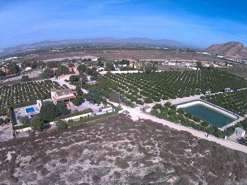 УГОДЬЯ ЦИТРУСОВЫХ С ДОМОМ