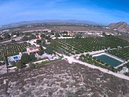 УГОДЬЯ ЦИТРУСОВЫХ С ДОМОМ thumbnail 1