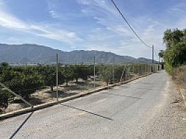 УГОДЬЯ ЦИТРУСОВЫХ С ДОМОМ thumbnail 4