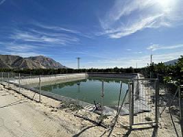 УГОДЬЯ ЦИТРУСОВЫХ С ДОМОМ thumbnail 9