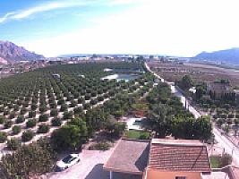 УГОДЬЯ ЦИТРУСОВЫХ С ДОМОМ thumbnail 38