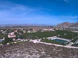 УГОДЬЯ ЦИТРУСОВЫХ С ДОМОМ thumbnail 40