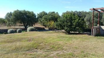 ПОМЕСТЬЕ НА ПОБЕРЕЖЬЕ КОСТА ДОРАДА thumbnail 13