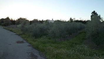 ПОМЕСТЬЕ НА ПОБЕРЕЖЬЕ КОСТА ДОРАДА thumbnail 16