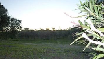 ПОМЕСТЬЕ НА ПОБЕРЕЖЬЕ КОСТА ДОРАДА thumbnail 26