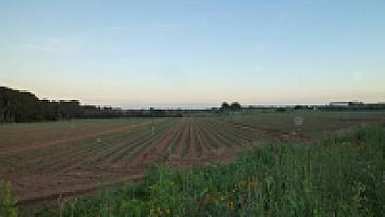 ПОМЕСТЬЕ НА ПОБЕРЕЖЬЕ КОСТА ДОРАДА thumbnail 28