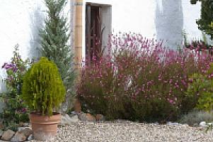 УСАДЬБА НА ПОБЕРЕЖЬЕ ГАРРАФ thumbnail 2