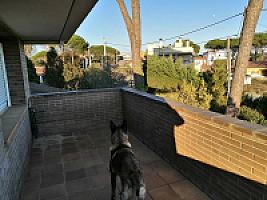 ВИЛЛА ПОД ЖИРОНОЙ thumbnail 31