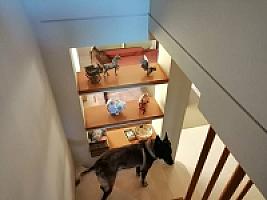 ВИЛЛА ПОД ЖИРОНОЙ thumbnail 33