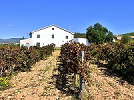 ПОМЕСТЬЕ С ВИНОГРАДНИКАМИ thumbnail 1