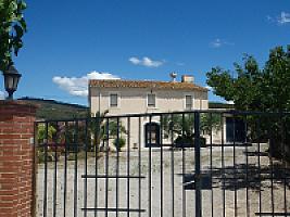 ПОМЕСТЬЕ С ВИНОГРАДНИКАМИ thumbnail 6