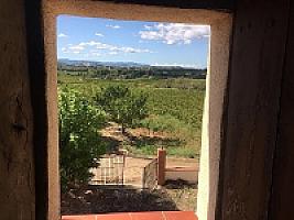 ПОМЕСТЬЕ С ВИНОГРАДНИКАМИ thumbnail 41