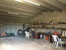 ПОМЕСТЬЕ С ВИНОГРАДНИКАМИ thumbnail 43