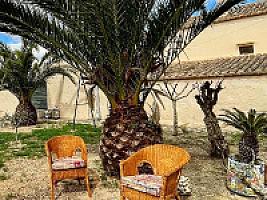 ПОМЕСТЬЕ С ВИНОГРАДНИКАМИ thumbnail 46