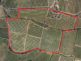 ПОМЕСТЬЕ С ВИНОГРАДНИКАМИ thumbnail 53