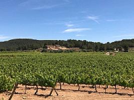 ПОМЕСТЬЕ ПОД БАРСЕЛОНОЙ thumbnail 28