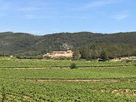 ПОМЕСТЬЕ ПОД БАРСЕЛОНОЙ thumbnail 29