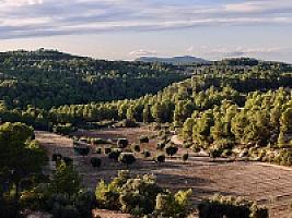 УСАДЬБА В ПРОВИНЦИИ ТЕРУЭЛЬ thumbnail 2