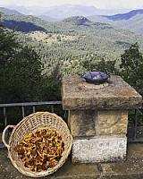 ЗАМОК С УГОДЬЯМИ В ПРЕДПИРЕНЕЯХ thumbnail 51