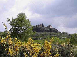 ЗАМОК С УГОДЬЯМИ В ПРЕДПИРЕНЕЯХ thumbnail 54